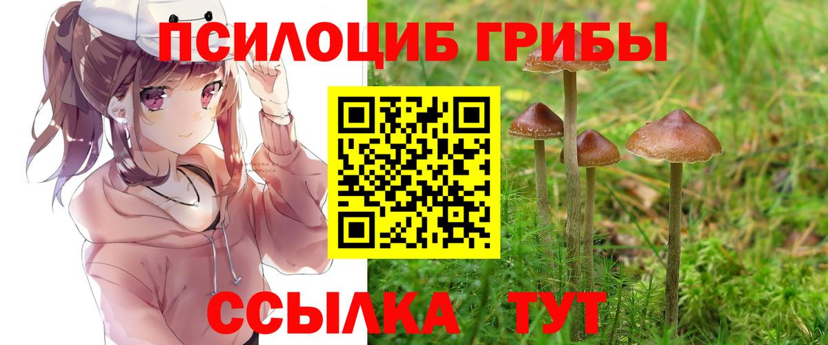 Галлюциногенные грибы Magic Shrooms  Вход с VPN  Камышин 